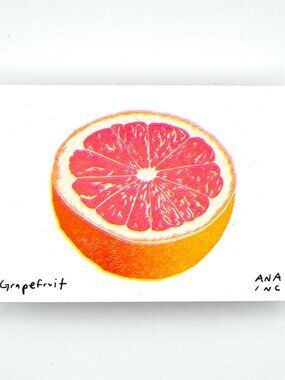 Ana Inciardi Grapefruit Mini Art Print